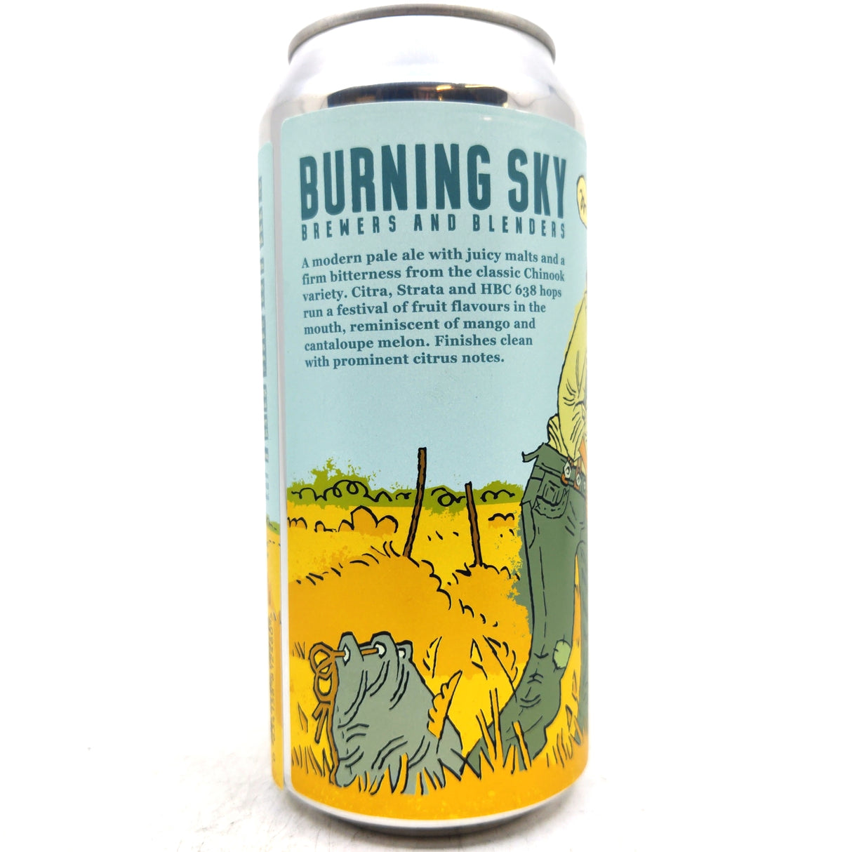 Burning Sky Celebrated Summer Pale Ale 5.8% (440ml can)-Hop Burns & Black