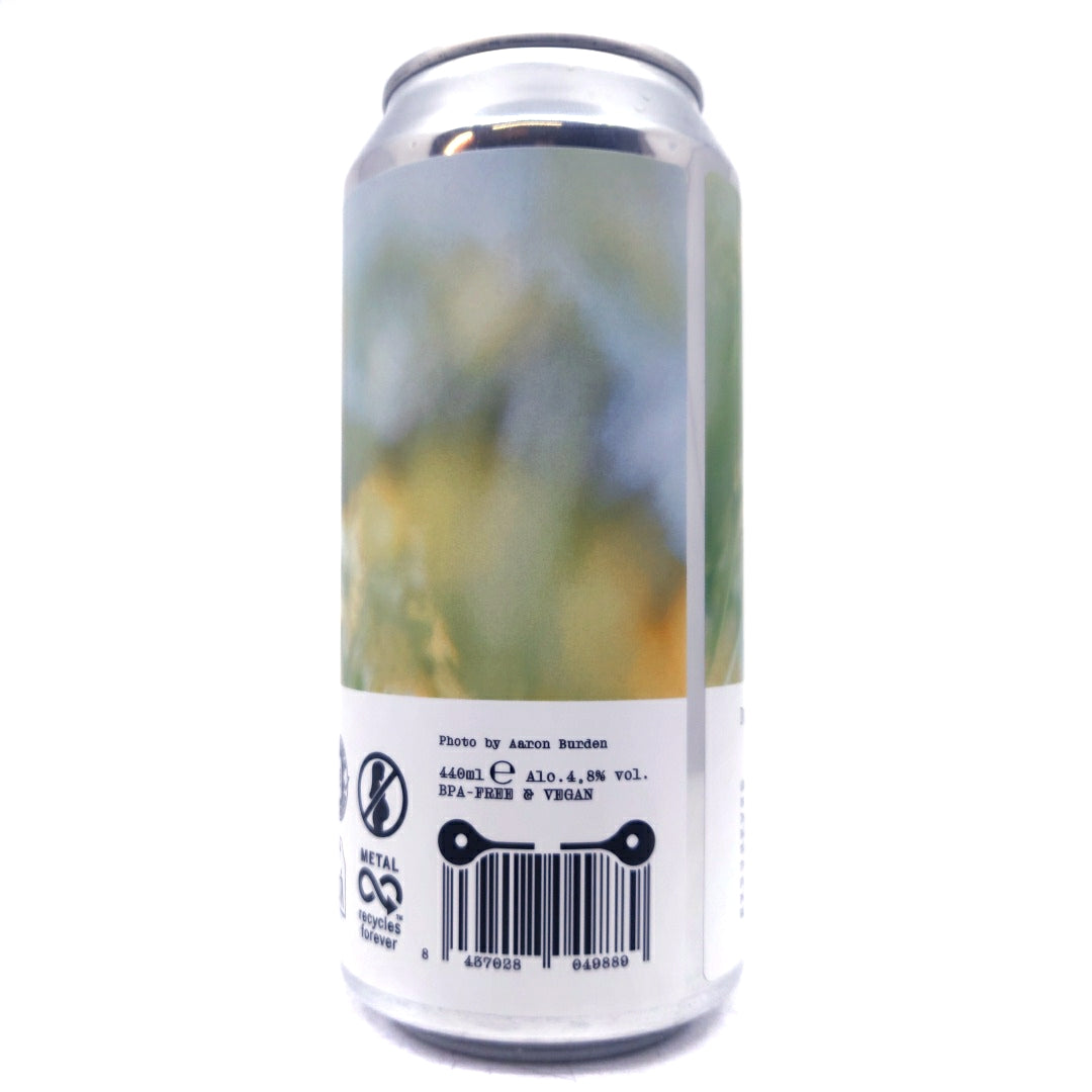 Doskiwis Solana West Coast Pils 4.8% (440ml can)-Hop Burns & Black