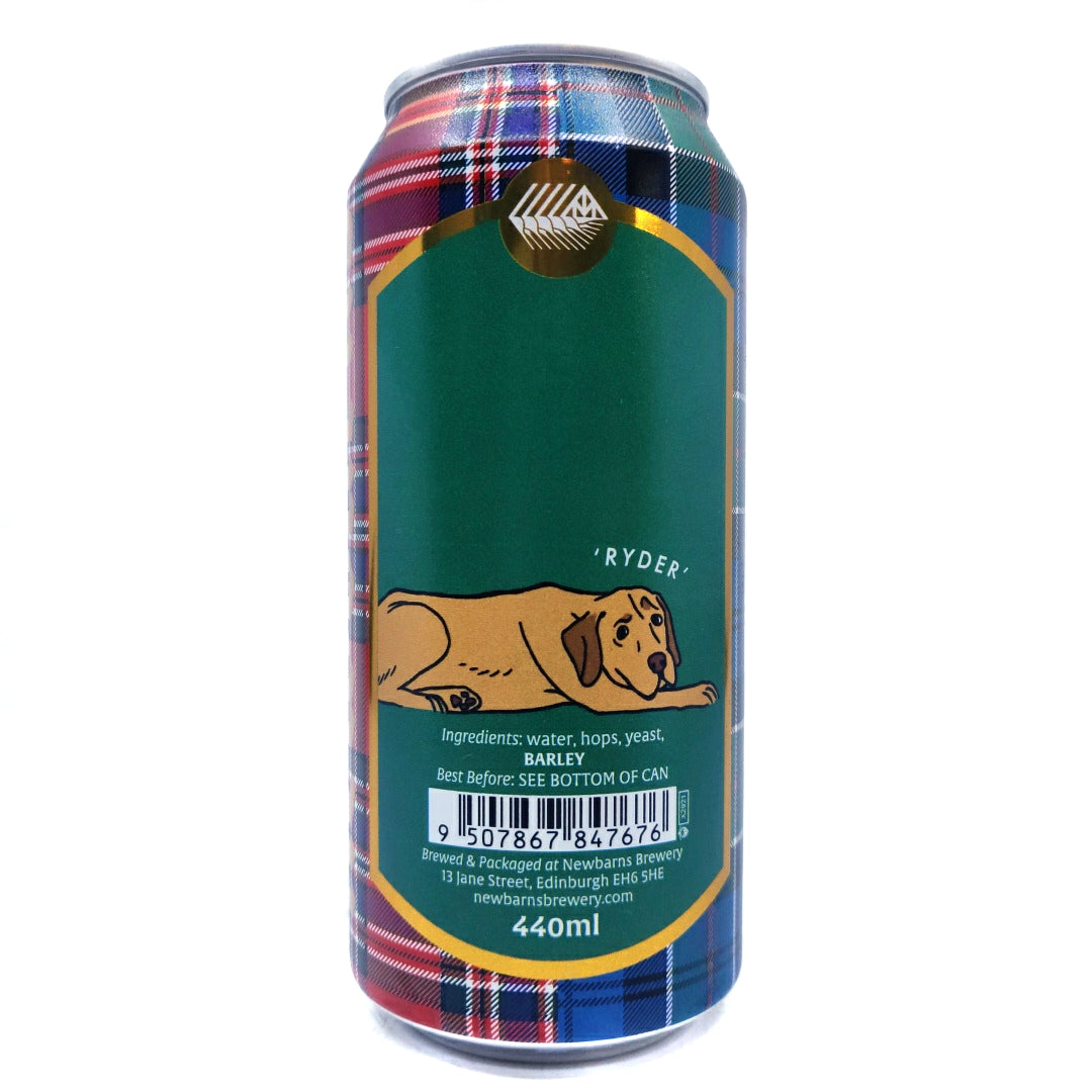 Newbarns Ryder IPA 5.5% (440ml can)-Hop Burns & Black