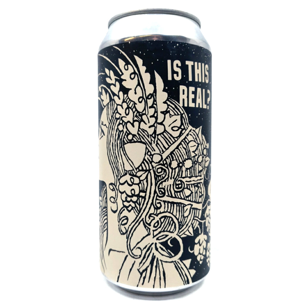 Burning Sky Is This Real Stout 5.2% (440ml can)-Hop Burns & Black