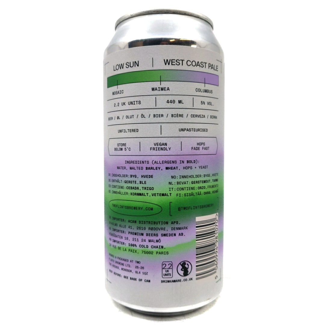 Two Flints Low Sun West Coast Pale Ale 5% (440ml can)-Hop Burns & Black