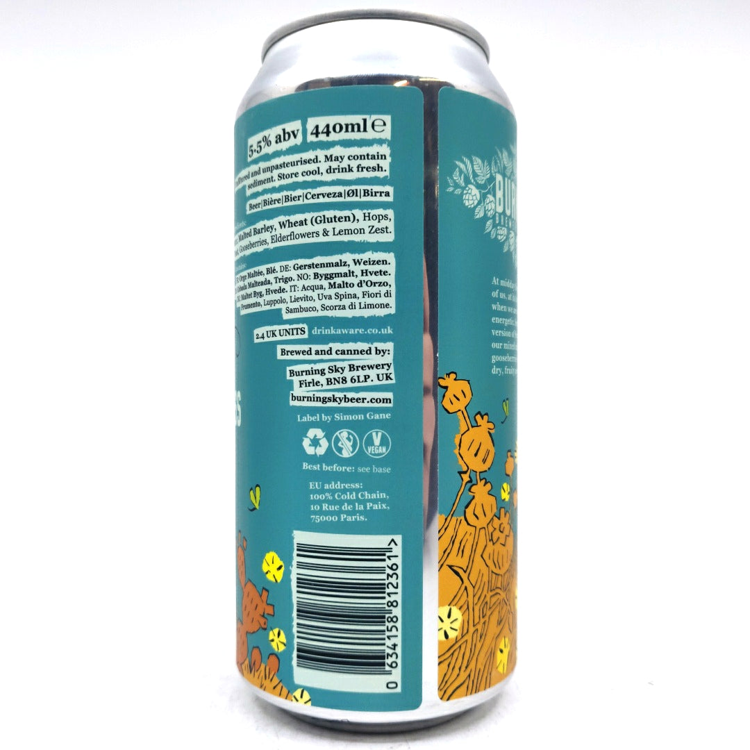 Burning Sky Compass Points South Rustic Beer 5.5% (440ml can)-Hop Burns & Black