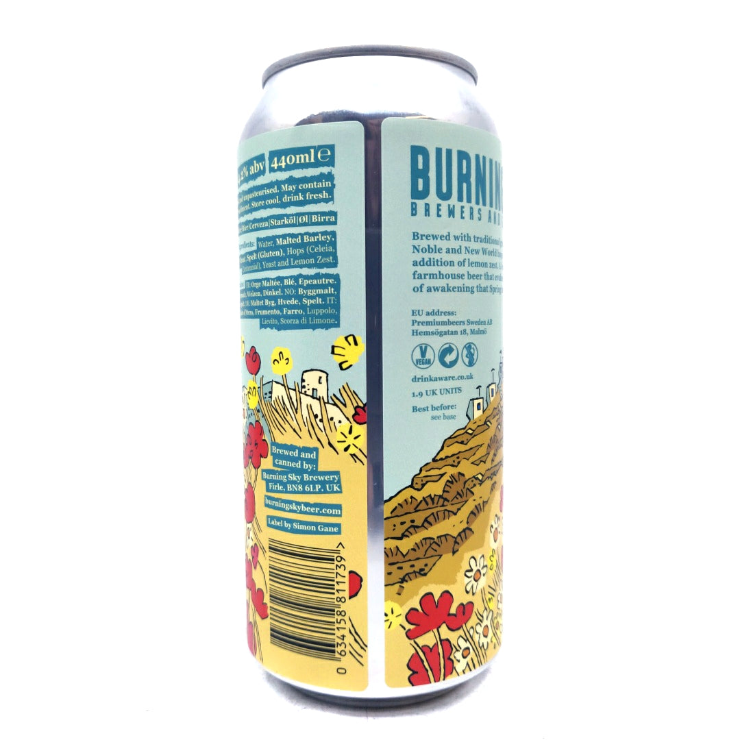 Burning Sky Rustic Spring Beer 4.2% (440ml can)-Hop Burns & Black