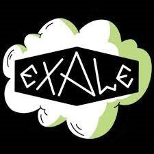 Exale Chrono Pineapple and Mango Radler 2.5% (440ml can)-Hop Burns & Black