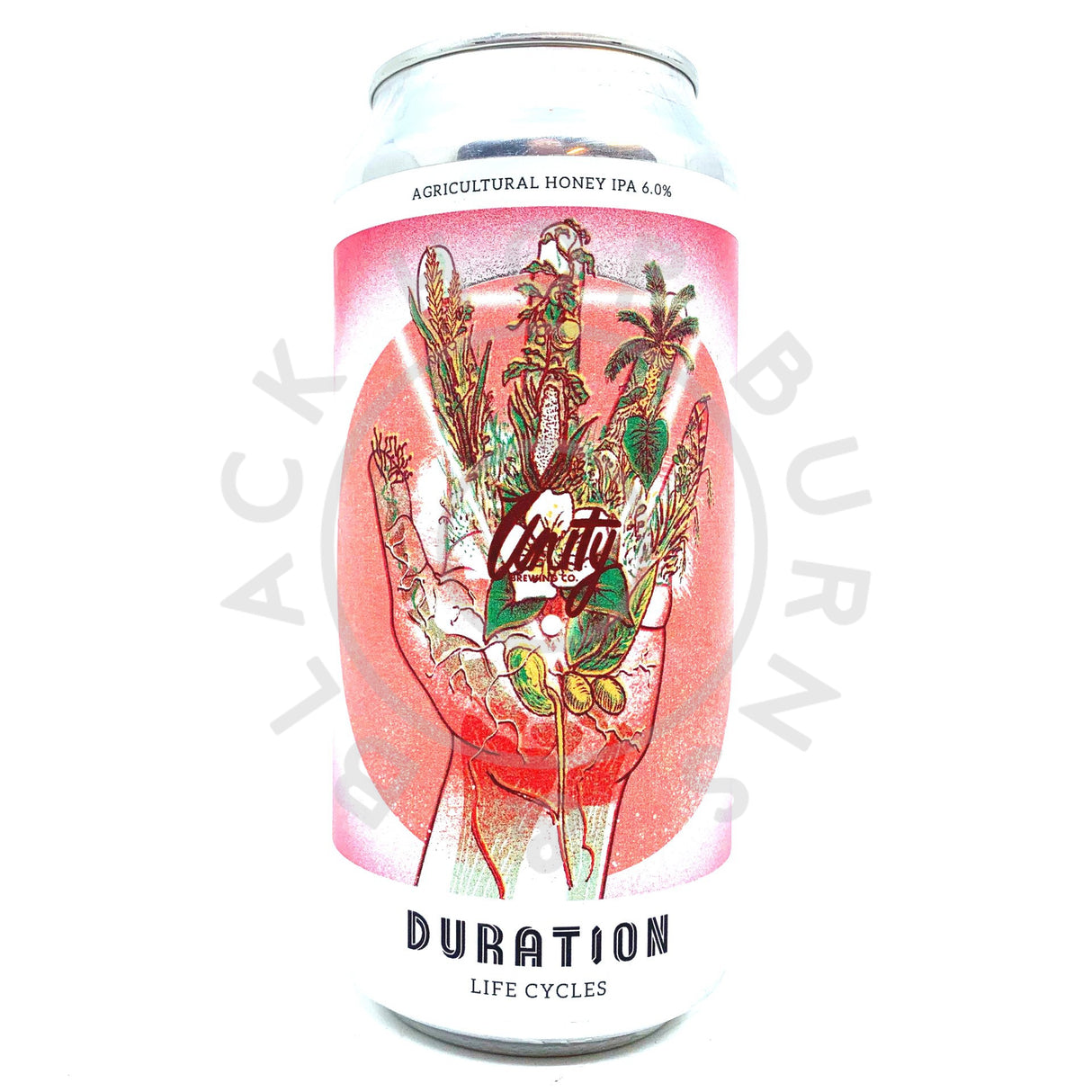 Duration x Unity Life Cycles IPA 6% (440ml can)-Hop Burns & Black