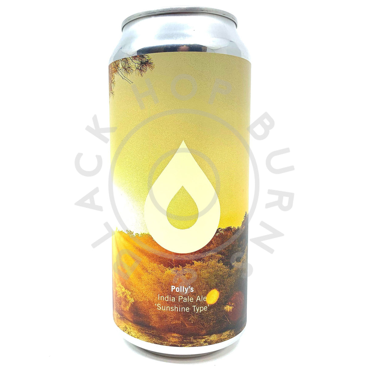 Polly's Brew Co Sunshine Type IPA 6% (440ml can)-Hop Burns & Black