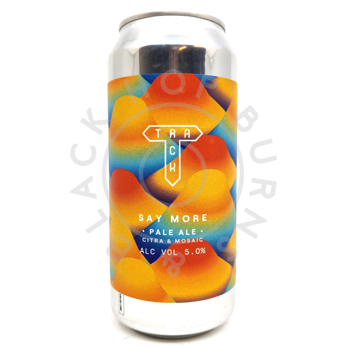 Track Say More Pale Ale 5% (440ml can)-Hop Burns & Black