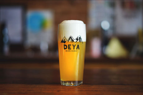 Fundamentals #134 — DEYA Message Me The Verdict Mosaic Pale Ale