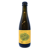 Garage Project Wildflower Hopbine Sour 6.8% (375ml)-Hop Burns & Black