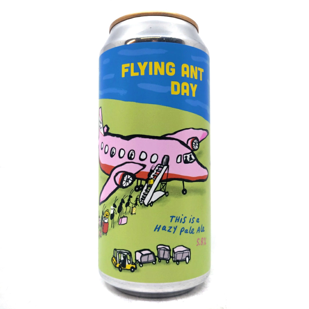 Pretty Decent Flying Ant Day Hazy Pale Ale 5.8% (440ml can)