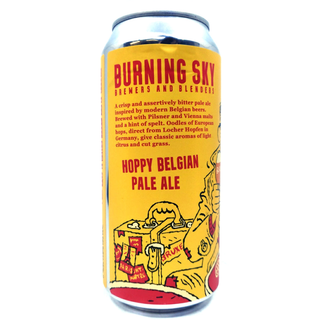 Burning Sky Let's Go Away Pale Ale 4% (440ml can)-Hop Burns & Black