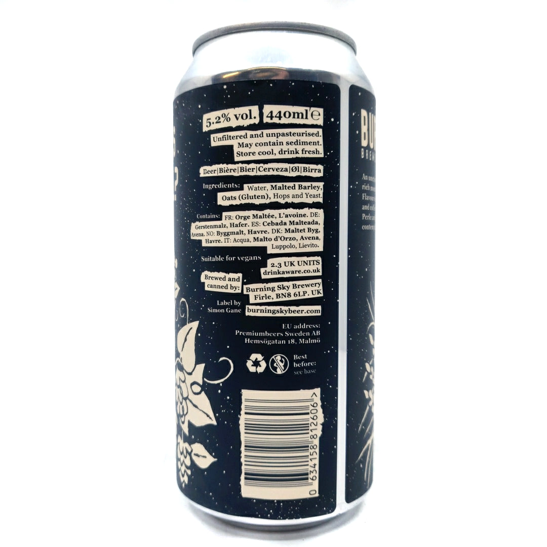 Burning Sky Is This Real Stout 5.2% (440ml can)-Hop Burns & Black