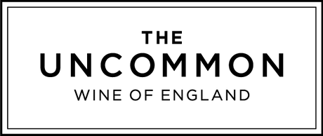 The Uncommon English Bubbly White Wine 2019 11.5% (250ml can)-Hop Burns & Black