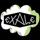 Exale Chrono Pineapple and Mango Radler 2.5% (440ml can)-Hop Burns & Black