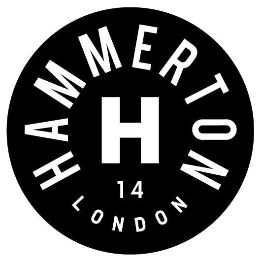 Hammerton Brewery City of Cake Milk Stout 5.5% (440ml can)-Hop Burns & Black