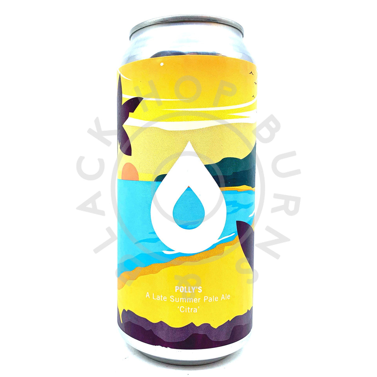 Polly's Brew Co A Late Summer: Citra Pale Ale 5.6% (440ml can)-Hop Burns & Black