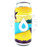 Polly's Brew Co A Late Summer: Citra Pale Ale 5.6% (440ml can)-Hop Burns & Black