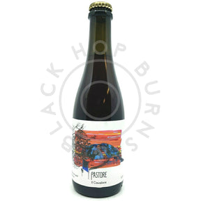 Pastore Il Cavaliere Wild Ale 5.5% (375ml)-Hop Burns & Black