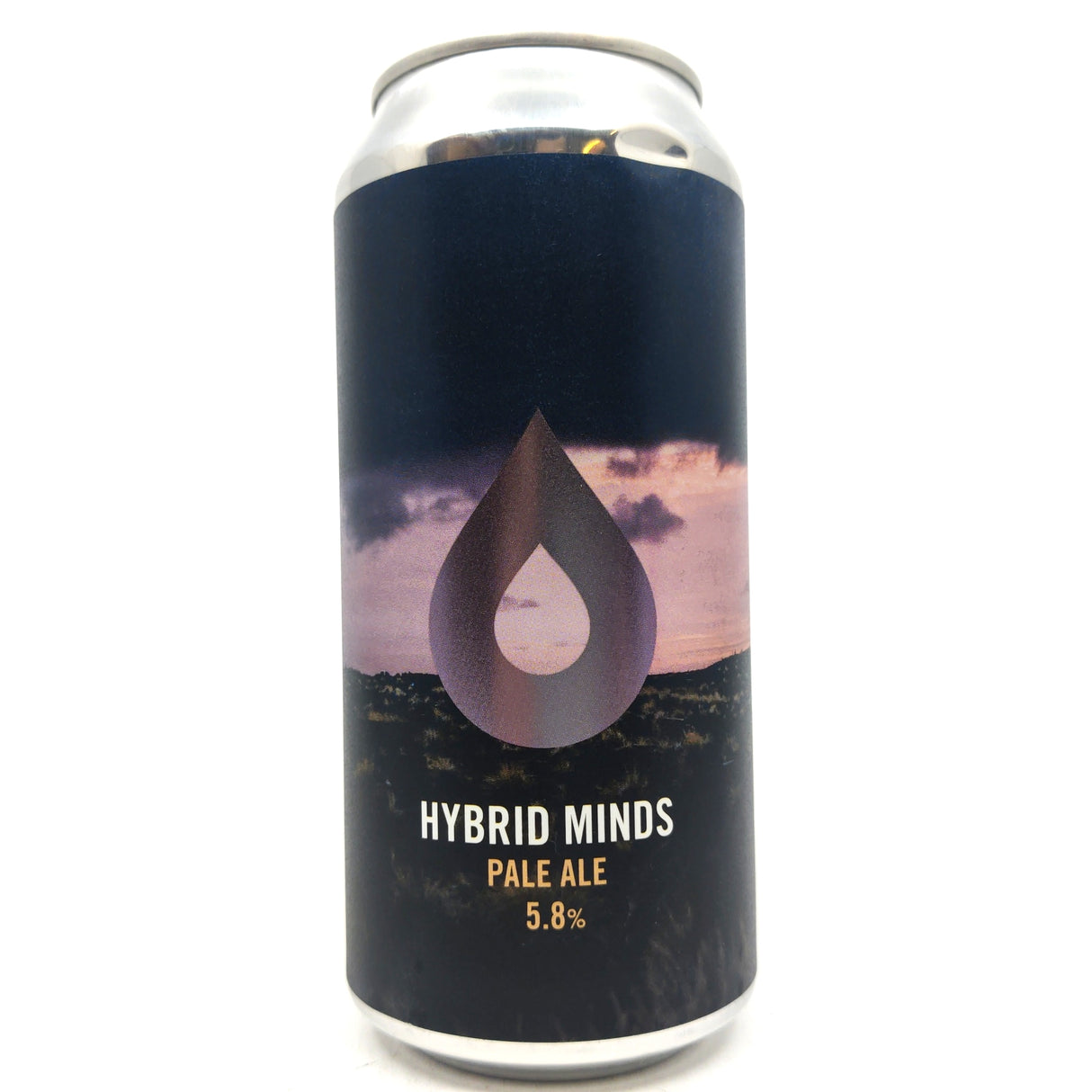 Polly's Brew Co Hybrid Minds Pale Ale 5.8% (440ml can)-Hop Burns & Black