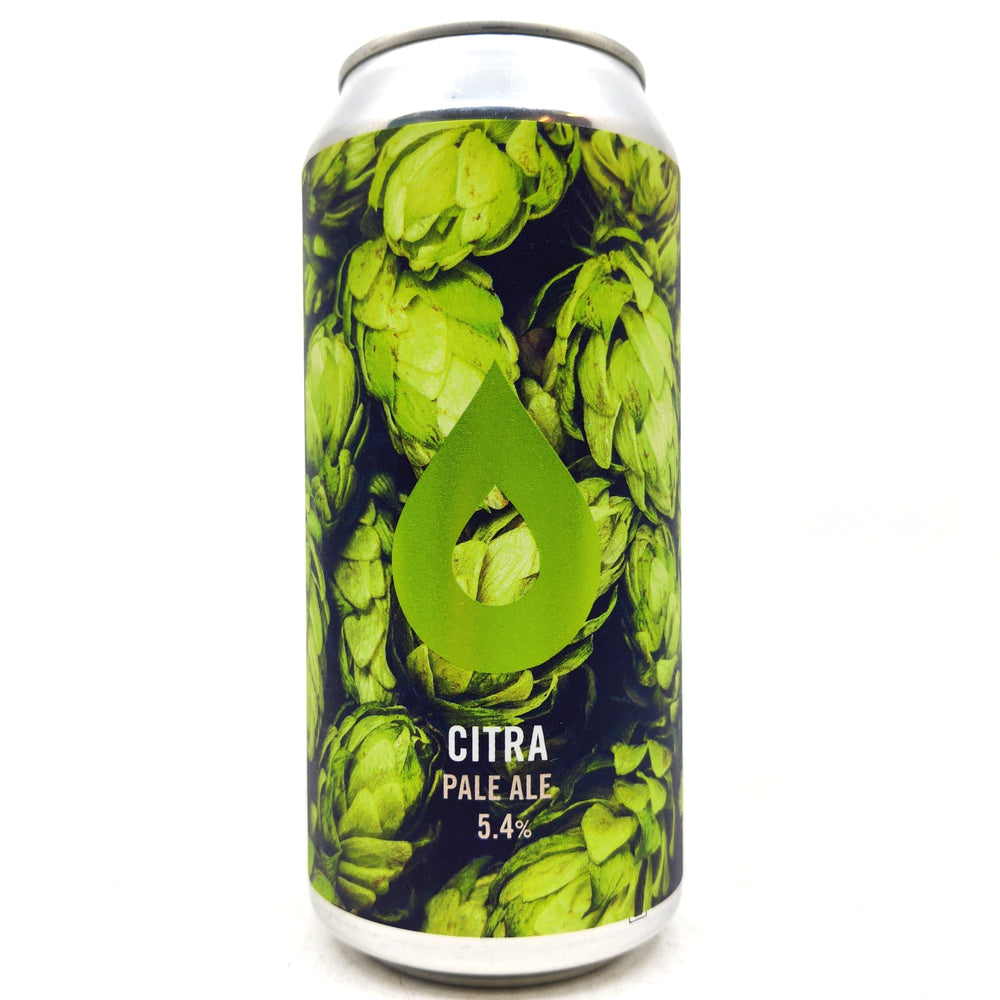 Polly's Brew Co Citra Pale Ale 5.4% (440ml can)-Hop Burns & Black