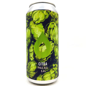 Polly's Brew Co Citra Pale Ale 5.4% (440ml can)-Hop Burns & Black