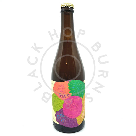 Jester King Rare Corals 5.3% (750ml)-Hop Burns & Black